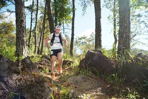 BIB: 
                            <button type="button" onclick="openModal(18934127)" class="btn btn-primary btn-sm float-right btn-popup" data-toggle="modal" data-target=".modal-high-quality">
                        <i class="fas fa-shopping-cart"></i> Add to Cart
                    </button>
                                            <button type="button" onclick="isThisMe(18934127, true)" class="btn btn-success btn-sm float-right btn-popup btn-isme hidden" data-toggle="tooltip" data-placement="bottom" title="นี่คือรูปของคุณใช่ไหม คลิกที่นี่เพื่อเอาเข้าอัลบั้ม">
                        <i class="fas fa-plus"></i> Add to album
                    </button>
                    <button type="button" onclick="isThisMe(18934127, false)" class="btn btn-warning btn-sm float-right btn-popup btn-isnotme hidden">
                        <i class="fas fa-ban"></i> Remove from album
                    </button>